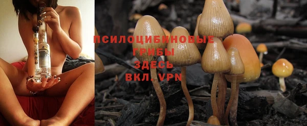 эйфоретик Михайловка