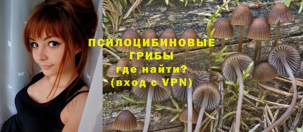 spice Михайловск