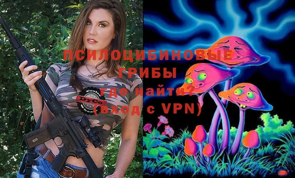 spice Михайловск